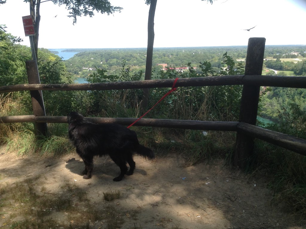 Locust Grove Picnic Area | 14888 Niagara Pkwy, Queenston, ON L0S 1L0, Canada