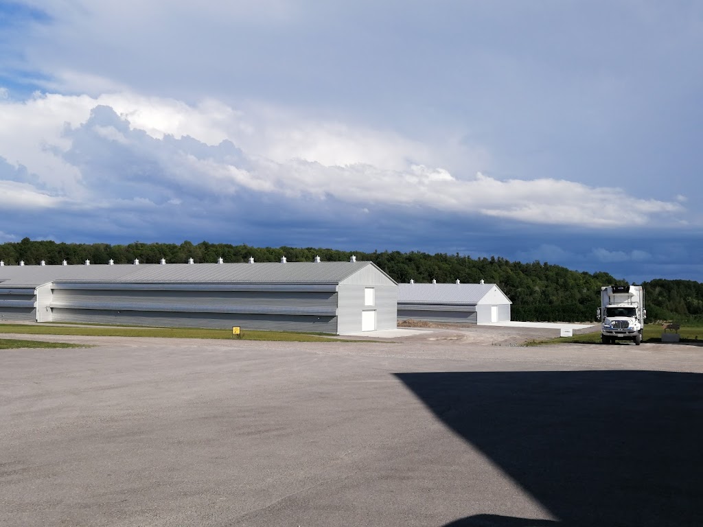 Three Roads Farms Ltd | 2415 County Rd 2, Peterborough, ON K9J 6X8, Canada | Phone: (705) 295-6850