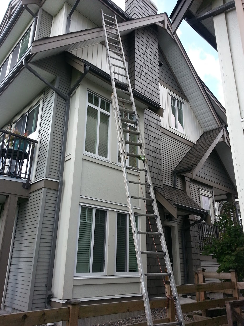 Leader Pest Control | 10944 Collings Pl, Delta, BC V4C 7E6, Canada | Phone: (604) 589-1080