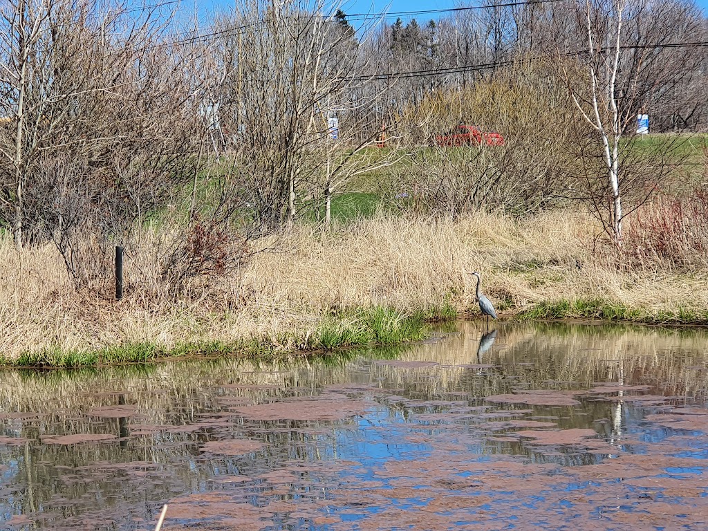 Robert Cotton Park | 57 Bunbury Rd, Stratford, PE C1B 1T8, Canada | Phone: (902) 569-1995