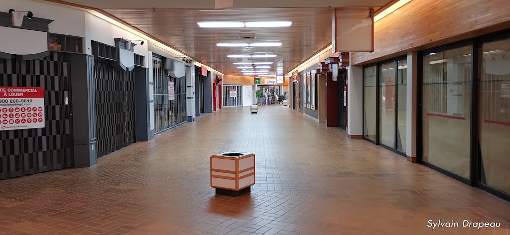 Galeries La Pocatière (Les) | 161 QC-230, La Pocatière, QC G0R 1Z0, Canada | Phone: (418) 856-1550