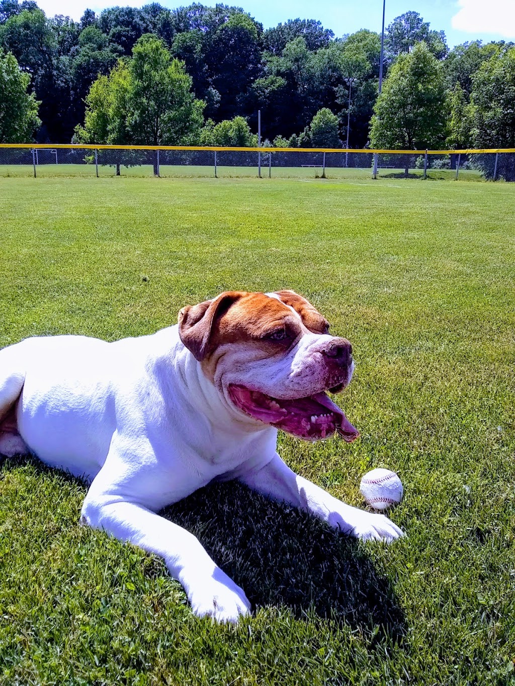 West Lions Park | 20 Granville St, London, ON N6H 2B1, Canada | Phone: (519) 661-5575