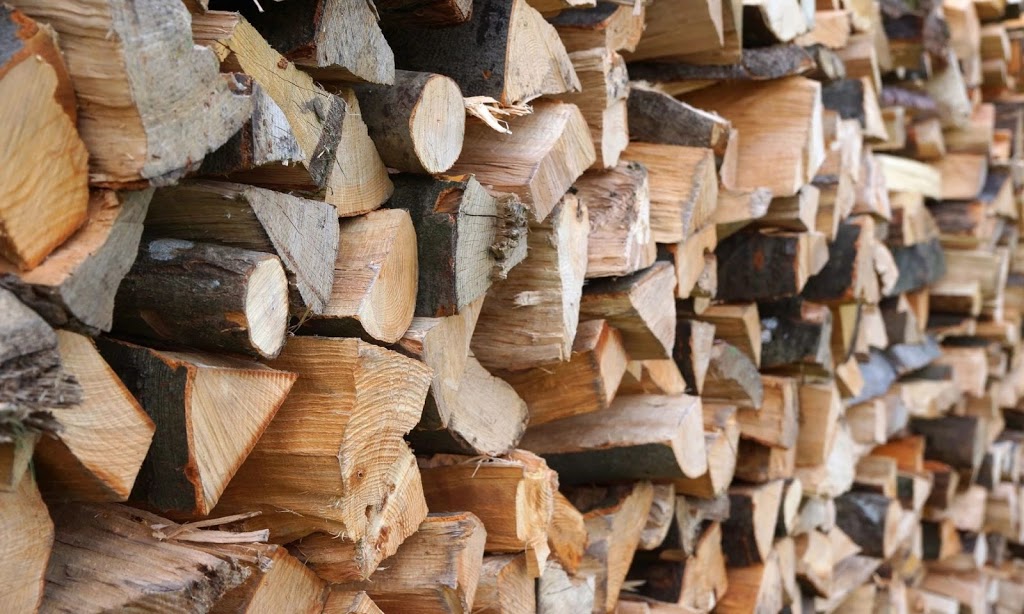 Godon Tree Care | 15682 Mt Hope Rd, Bolton, ON L7E 3K6, Canada | Phone: (519) 878-4761