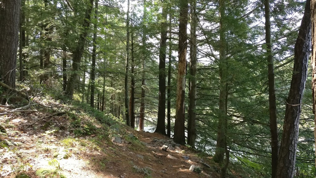 Jones Creek Trails - Thousand Islands National Park | 1231-1241 Thousand Islands Pkwy, Mallorytown, ON K0E 1R0, Canada | Phone: (613) 923-5261