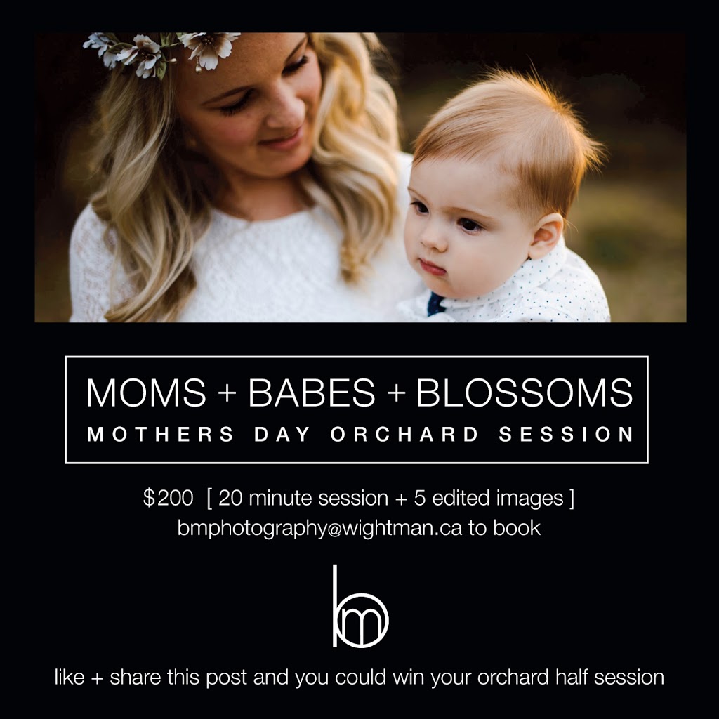 Brandy Meyers Photography | 5016 Line 90, Palmerston, ON N0G 2P0, Canada | Phone: (519) 580-0176