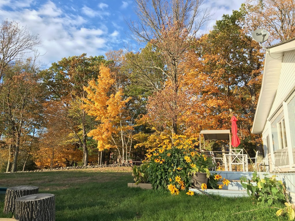The Blue Birdies Nest | 16 Birdie Dr, Fenelon Falls, ON K0M 1N0, Canada | Phone: (416) 720-9503