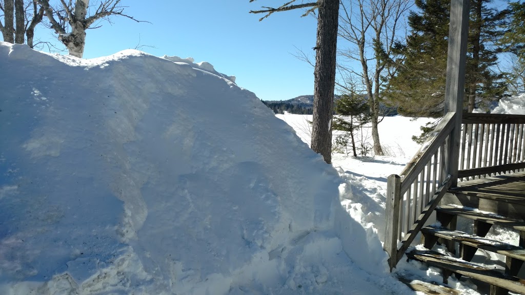 Tall Timber Lodge | 609 Beach Rd, Pittsburg, NH 03592, USA | Phone: (603) 538-6651