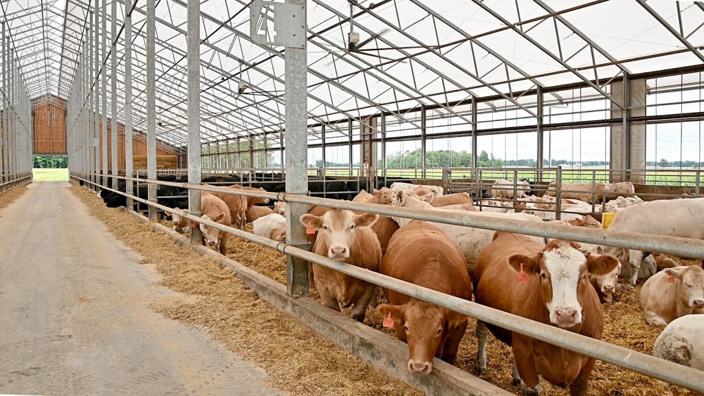 We Cover Structures | 22694 Victoria Rd, Thamesville, ON N0P 2K0, Canada | Phone: (519) 692-9900