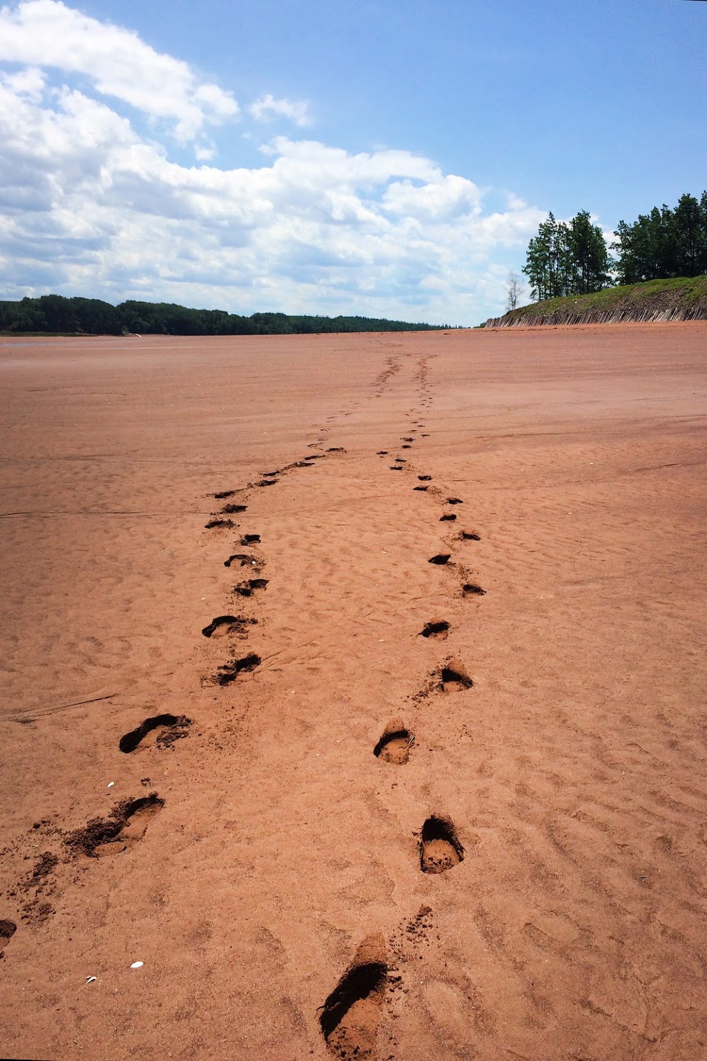 Sound Connections Therapy Services | 1454 Pereau Rd, Canning, NS B0P 1H0, Canada | Phone: (902) 692-1662