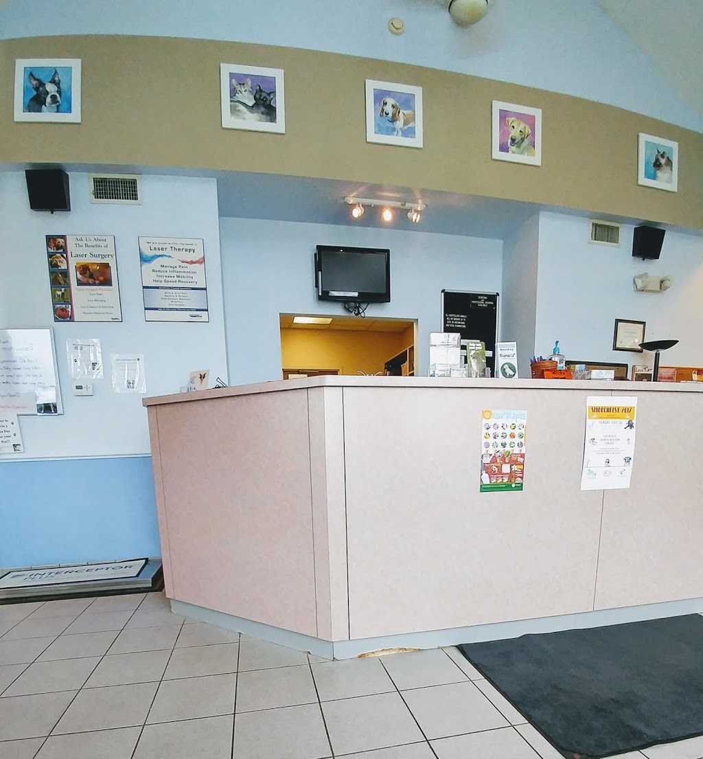 Transit Animal Hospital | 6020 Transit Rd, Depew, NY 14043, USA | Phone: (716) 683-7136