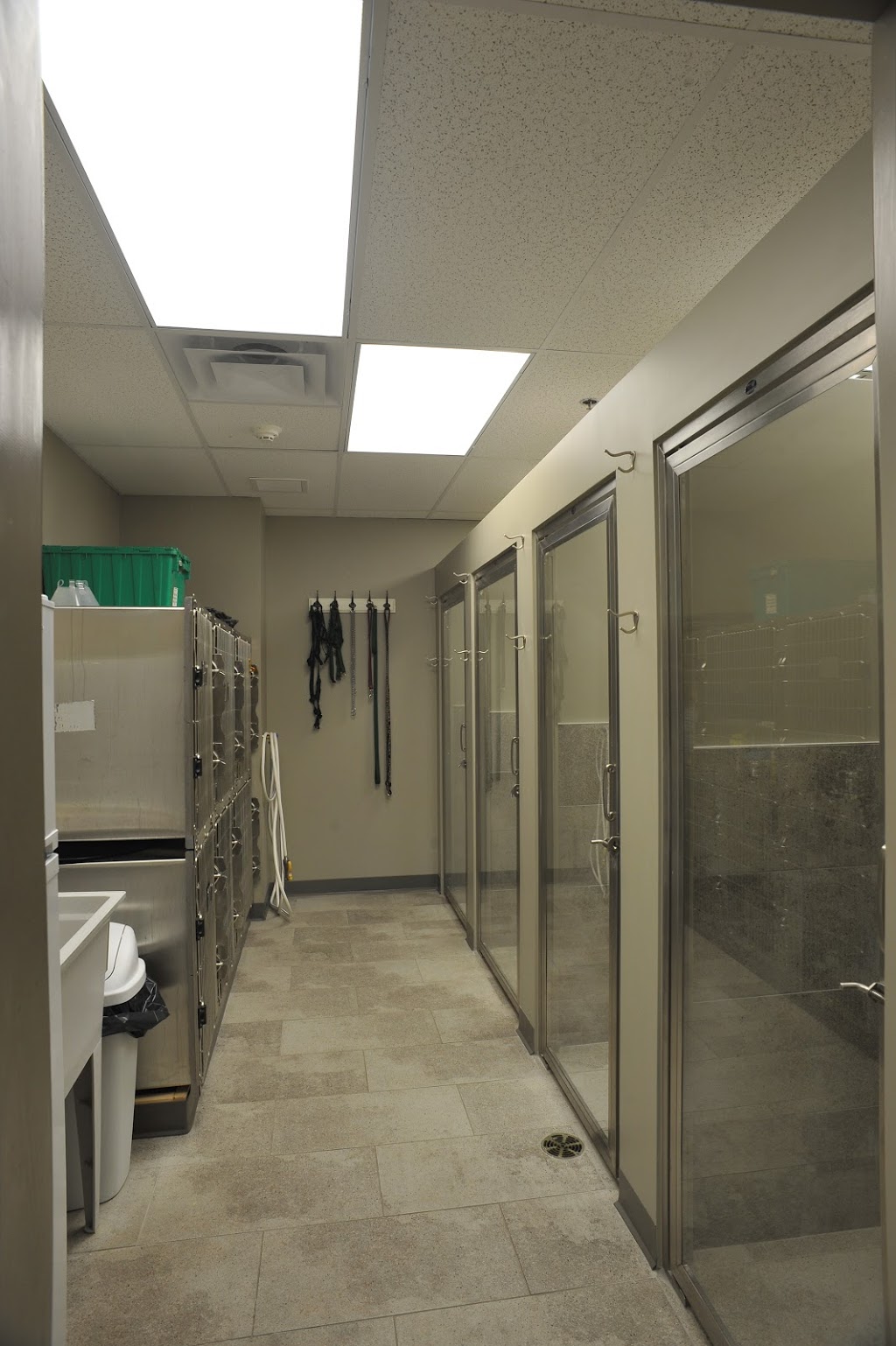 Sherwood Park Animal Hospital | 275 Av Elm, Beaconsfield, QC H9W 2E4, Canada | Phone: (514) 674-2004