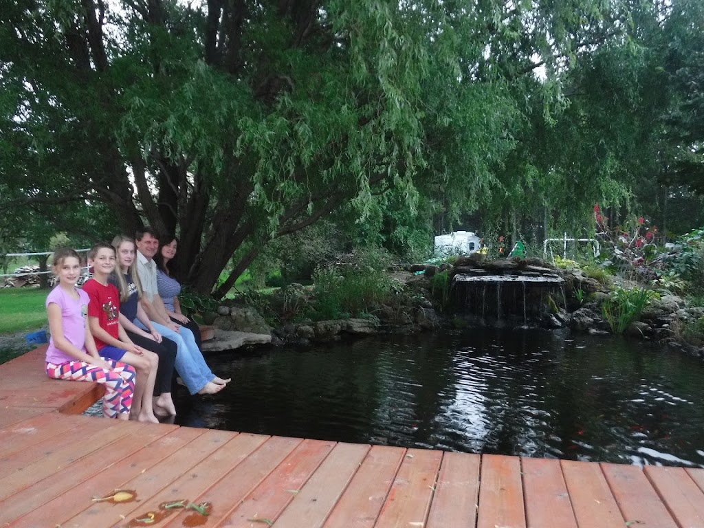Tranquil Escapes Ponds & Watergardens | 244 Middletown Rd, Hamilton, ON L9H 5E1, Canada | Phone: (647) 225-7959