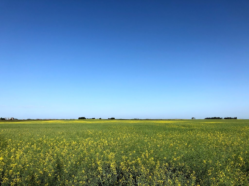 Nokomis municipal campground | 108 SK-20, Nokomis, SK S0G 3R0, Canada | Phone: (306) 528-2010
