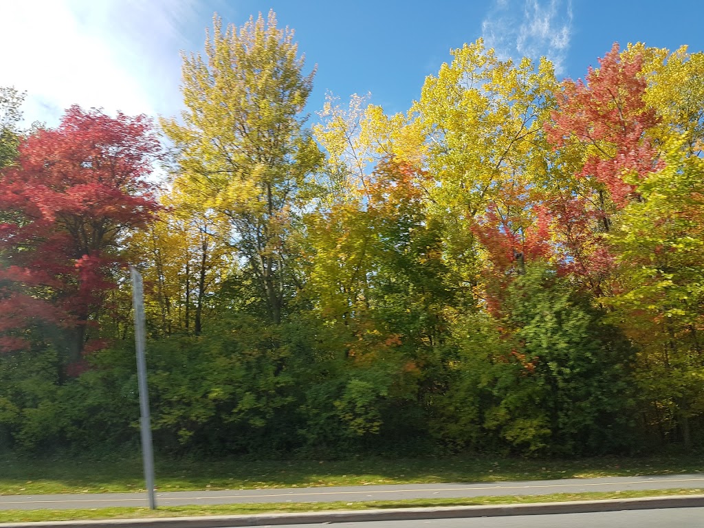 Ken Steele Park | 1195 Ogilvie Rd, Ottawa, ON K1J 1J9, Canada | Phone: (613) 580-2400