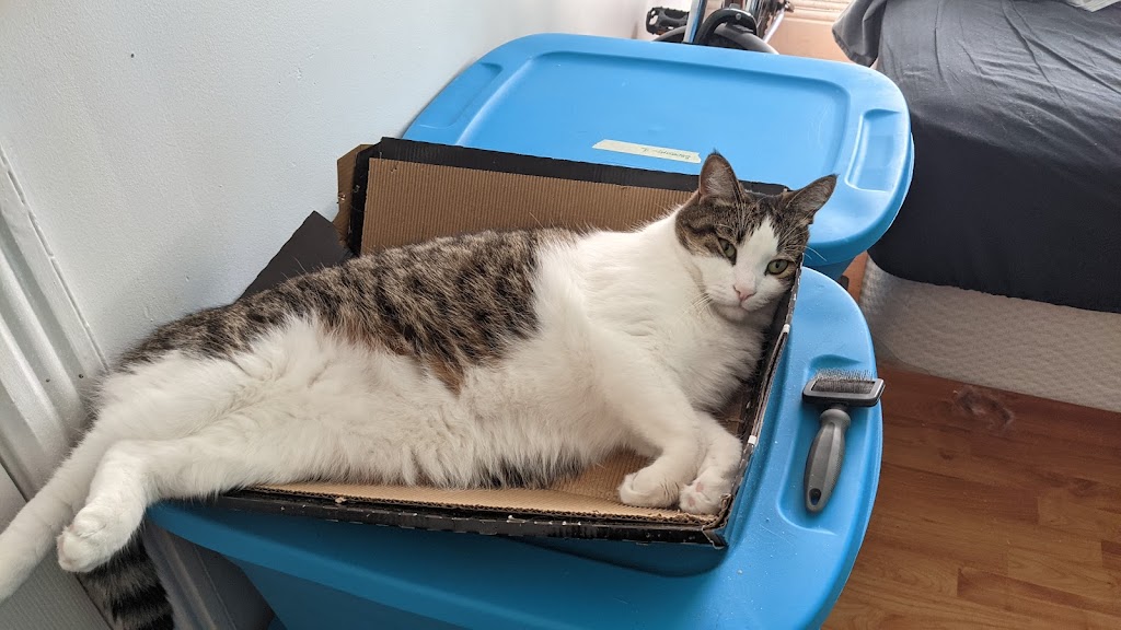 Omega Paw Inc | 275 Victoria St, St. Marys, ON N4X 1A2, Canada | Phone: (519) 284-0818