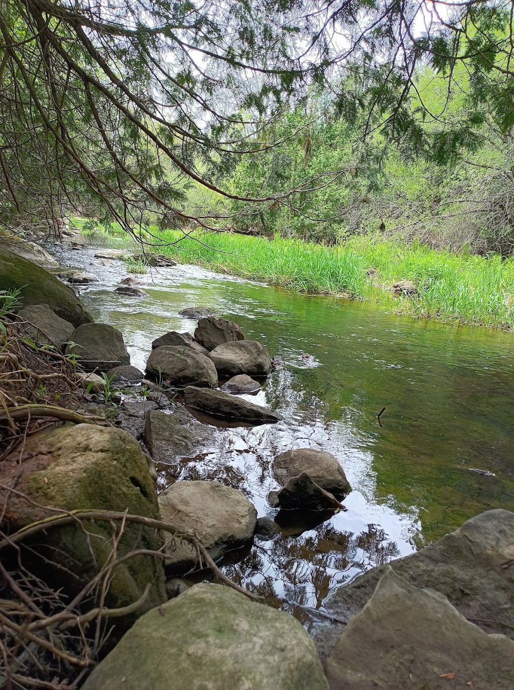 Potters Creek Conservation Area | 2061 Old Highway 2, Belleville, ON K8N 4Z2, Canada | Phone: (613) 968-3434
