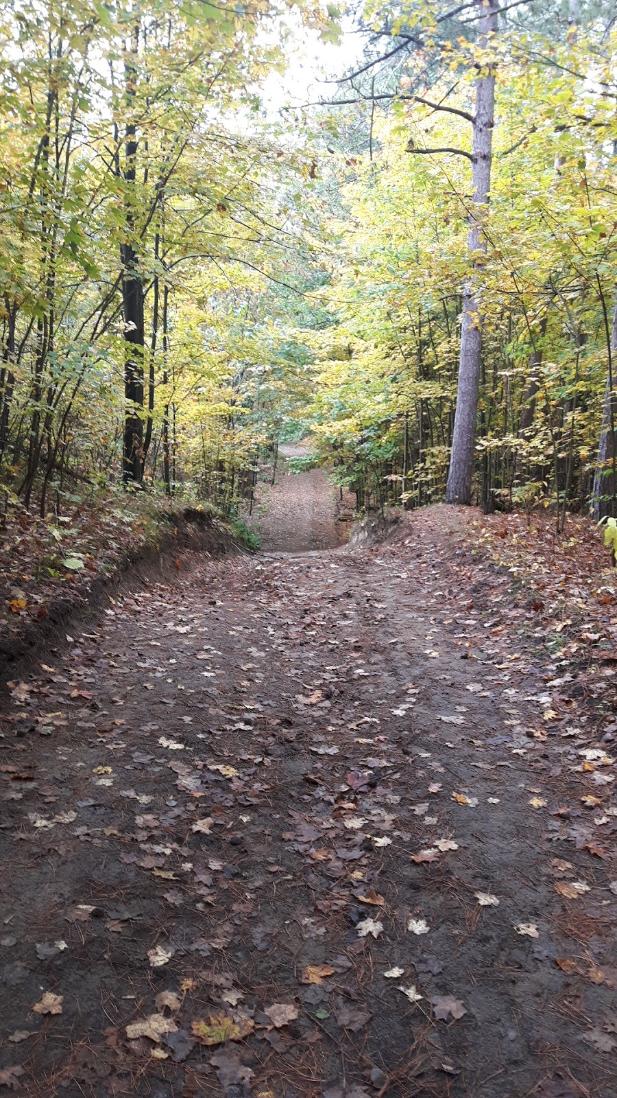 Vivian Outdoor Resource Centre | 5314 Vivian Rd, Whitchurch-Stouffville, ON L4A 7X4, Canada | Phone: (905) 473-2156