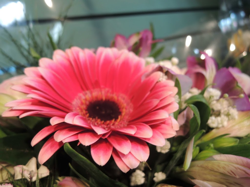 Meadows Flowers | 19150 Lougheed Hwy, Pitt Meadows, BC V3Y 2H6, Canada | Phone: (604) 465-1111