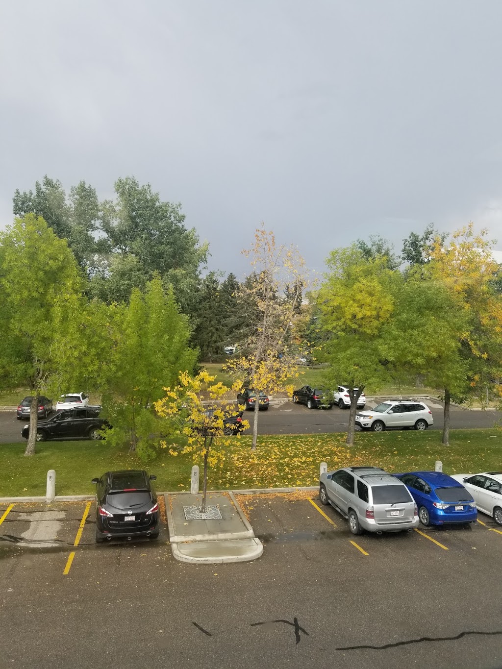 Seniors Residence Col Belcher | 1945 Veterans Way NW, Calgary, AB T3B 5Y7, Canada | Phone: (403) 283-3491
