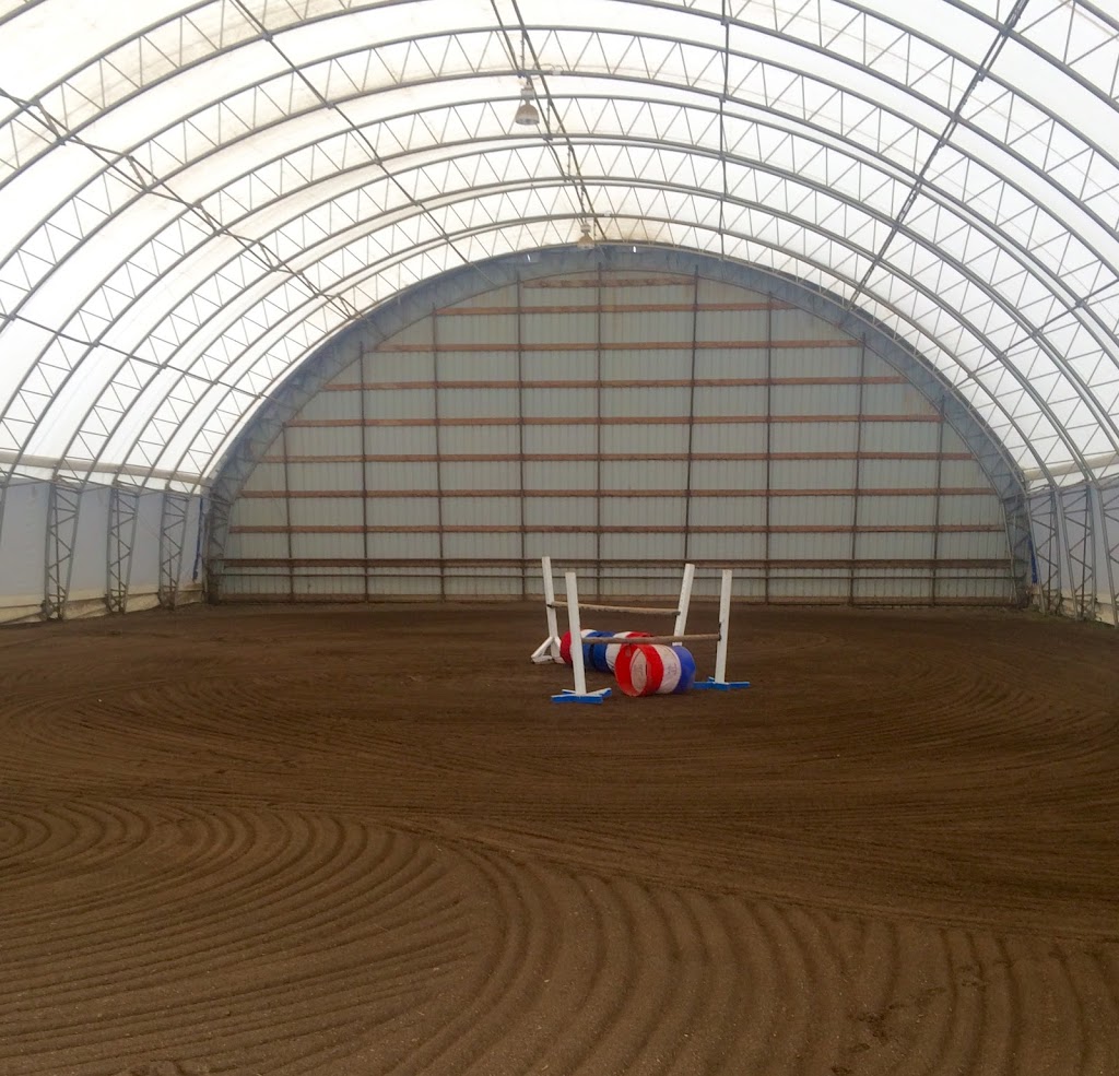 Riley Ridge Stables | 280058 Range Road 23, Site 1 Box 59, Madden, AB T4B 2A3, Canada | Phone: (403) 519-1907