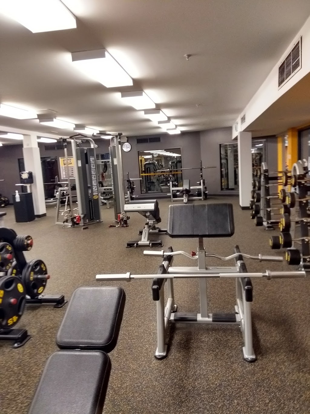 Fit4Less | 3434 Lawrence Ave E, Scarborough, ON M1H 1A9, Canada | Phone: (416) 289-7464