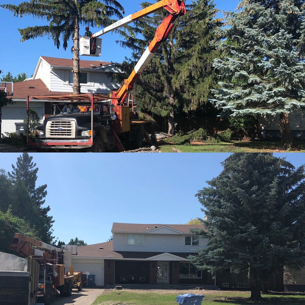 Alpha Forestry Solutions | 71 Lynnwood Dr, Traverse Bay, MB R0E 2A0, Canada | Phone: (204) 782-2043