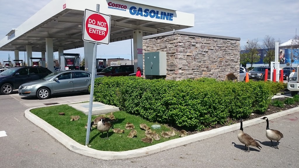 Costco Wholesale | 71 Colossus Dr, Woodbridge, ON L4L 9J8, Canada | Phone: (905) 264-8337
