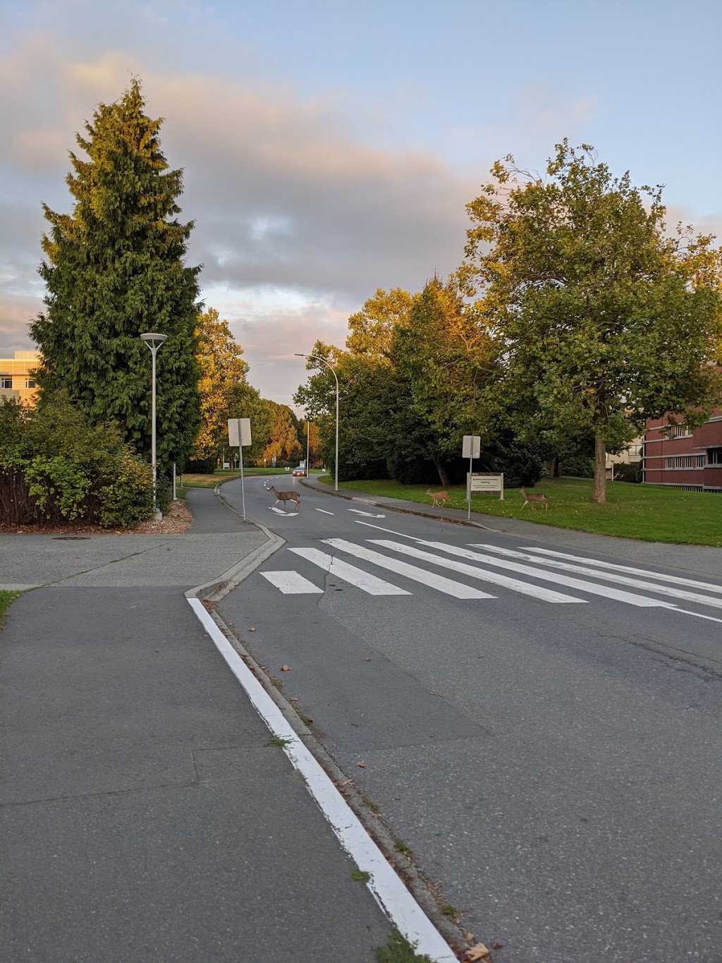 Peter B. Gustavson School of Business | Finnerty Rd, Victoria, BC V8P 5C2, Canada | Phone: (250) 472-4139