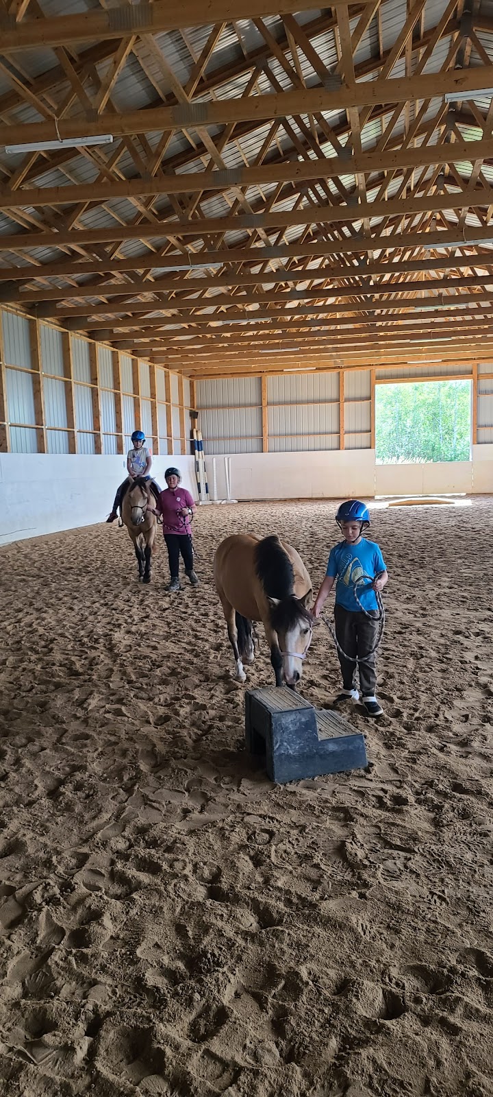 Classical Equitation | Rd 13E, Fraserwood, MB R0C 1A0, Canada | Phone: (204) 641-4268