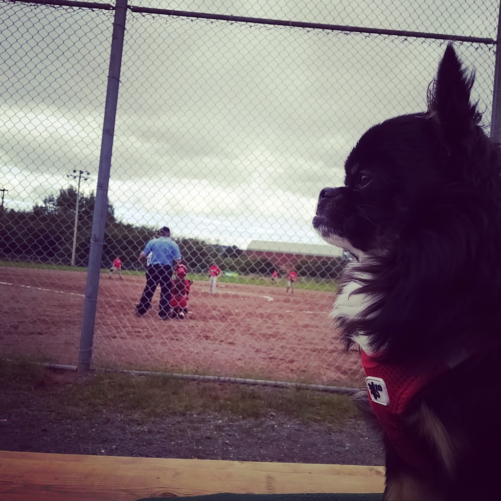 Dorrington Softball Complex | 167 N Foord St, Stellarton, NS B0K 0A2, Canada | Phone: (902) 752-6548