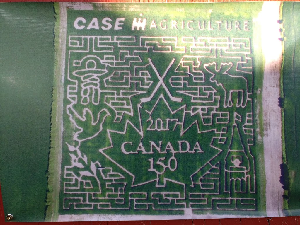Thamesville Maize | 12768 Longwoods Rd, Thamesville, ON N0P 2K0, Canada | Phone: (519) 692-5451