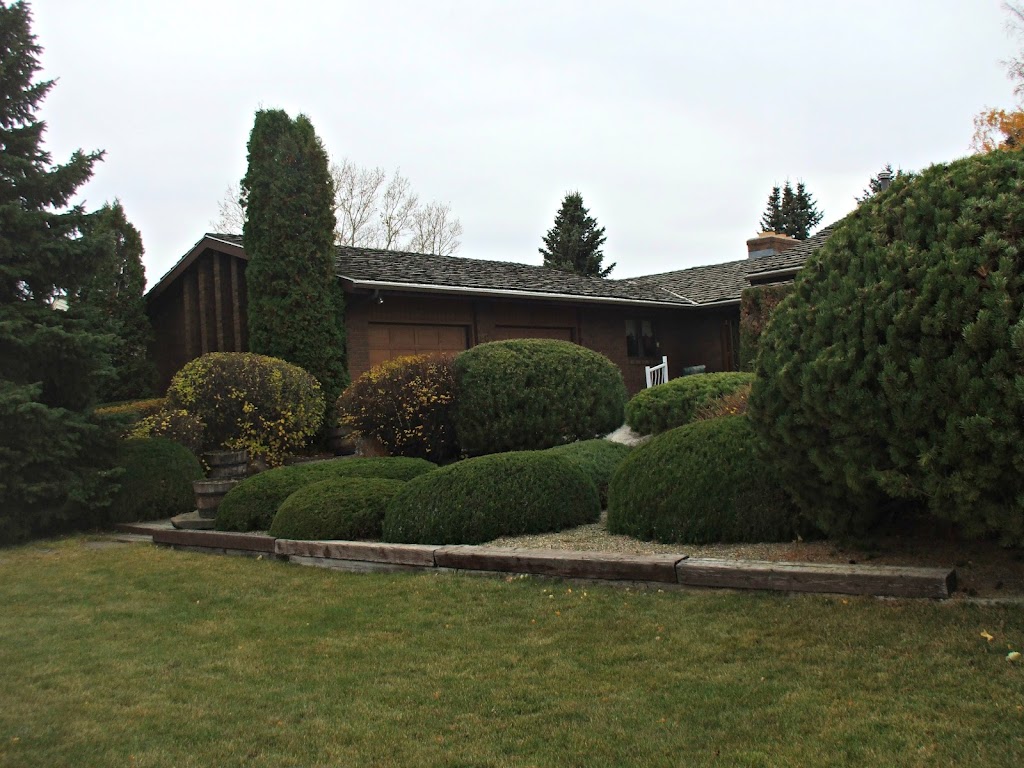 Old West Tree Company | 805 9 Ave S, Lethbridge, AB T1J 1T6, Canada | Phone: (403) 329-3021
