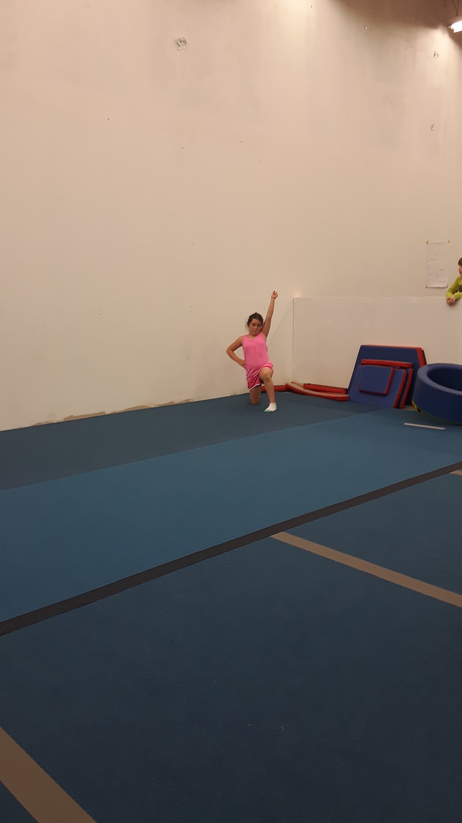 Cheer On Bears Cheerleading | 30 Arrow Rd, Guelph, ON N1K 1S6, Canada | Phone: (226) 971-1614