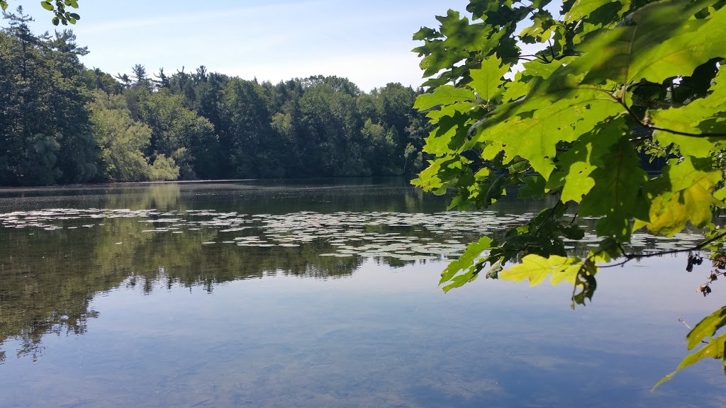 Ozark Park | 24 Antique Dr, Richmond Hill, ON L4E 3X5, Canada | Phone: (905) 771-8800