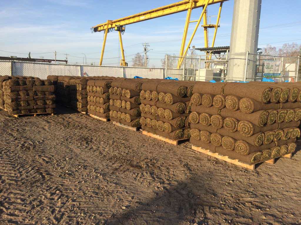 Manderley Turf Products Calgary | 3090 52 St SE, Calgary, AB T2B 1N2, Canada | Phone: (888) 225-3885 Manderley Turf Products Calgary | 3090 52 St SE, Calgary, AB T2B 1N2, Canada | Phone: (888) 225-3885