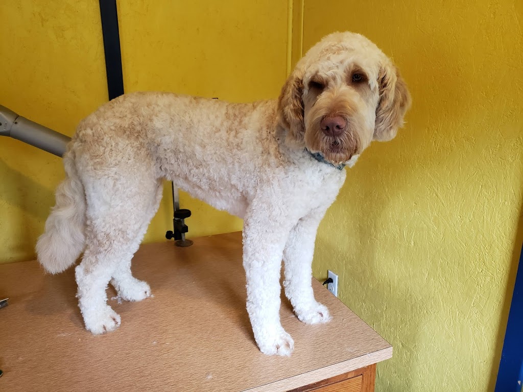 PawsAtively Divine Pet Grooming | 136 NB-121, Bloomfield, NB E5N 7V1, Canada | Phone: (506) 653-7393