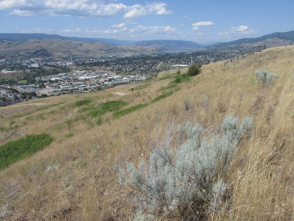 Dutchs Campground | 15408 Kalamalka Rd, Coldstream, BC V1B 1Y9, Canada | Phone: (250) 545-1023