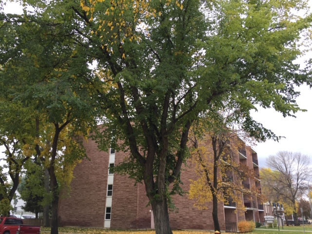 Elim Balmoral House | 1408 9a Ave S, Lethbridge, AB T1J 1X8, Canada | Phone: (403) 942-2672