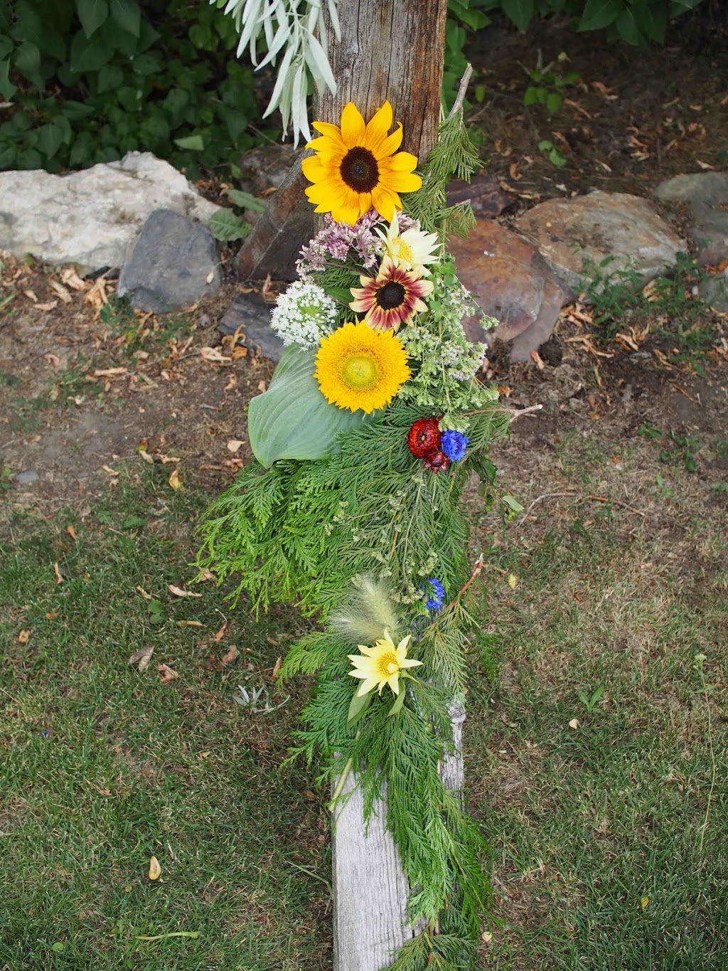 Open Farm | 7000 College Way, Coldstream, BC V1B 2S4, Canada | Phone: (250) 938-9031