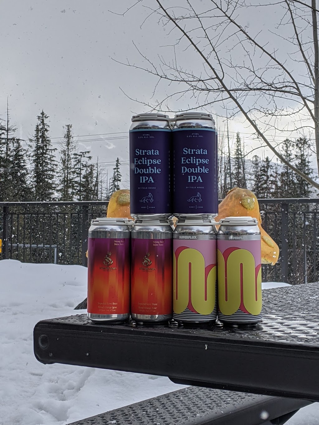 WHISTLER LIQUOR STORE | 8200 Bear Paw Trail #105, Whistler, BC V8E 1M2, Canada | Phone: (604) 962-0121
