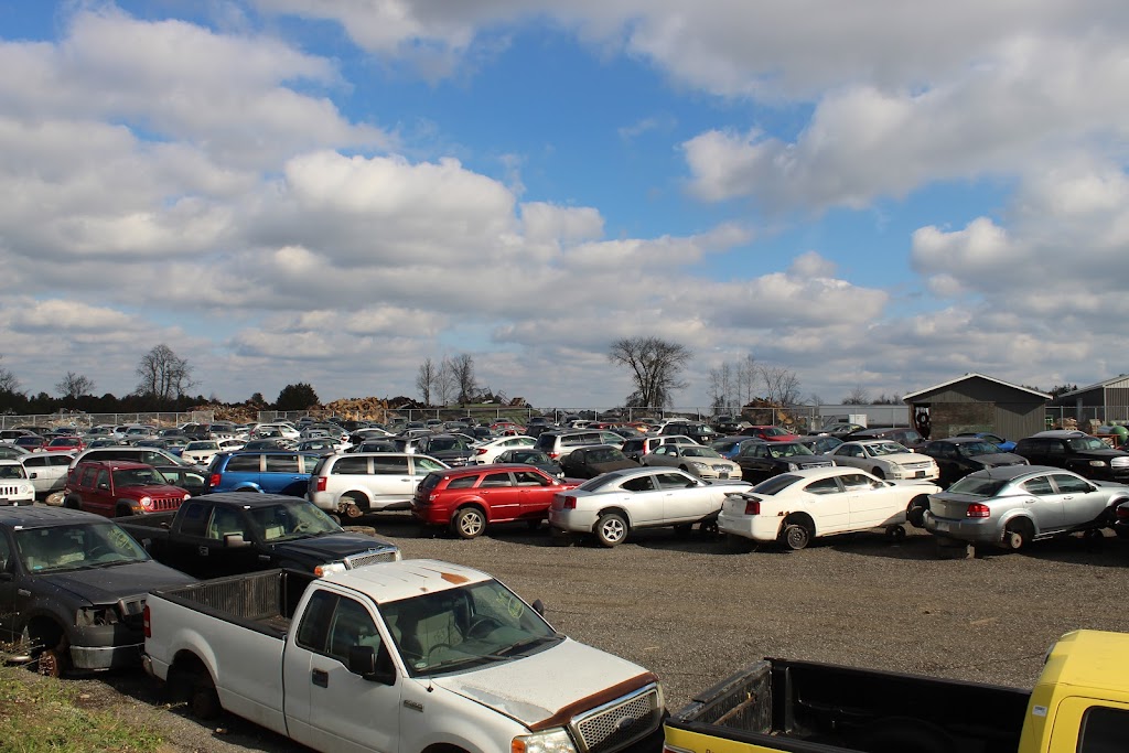 SLM U-Pick | 258 County Rd 8, Douro, ON K0L 2H0, Canada | Phone: (705) 652-3339