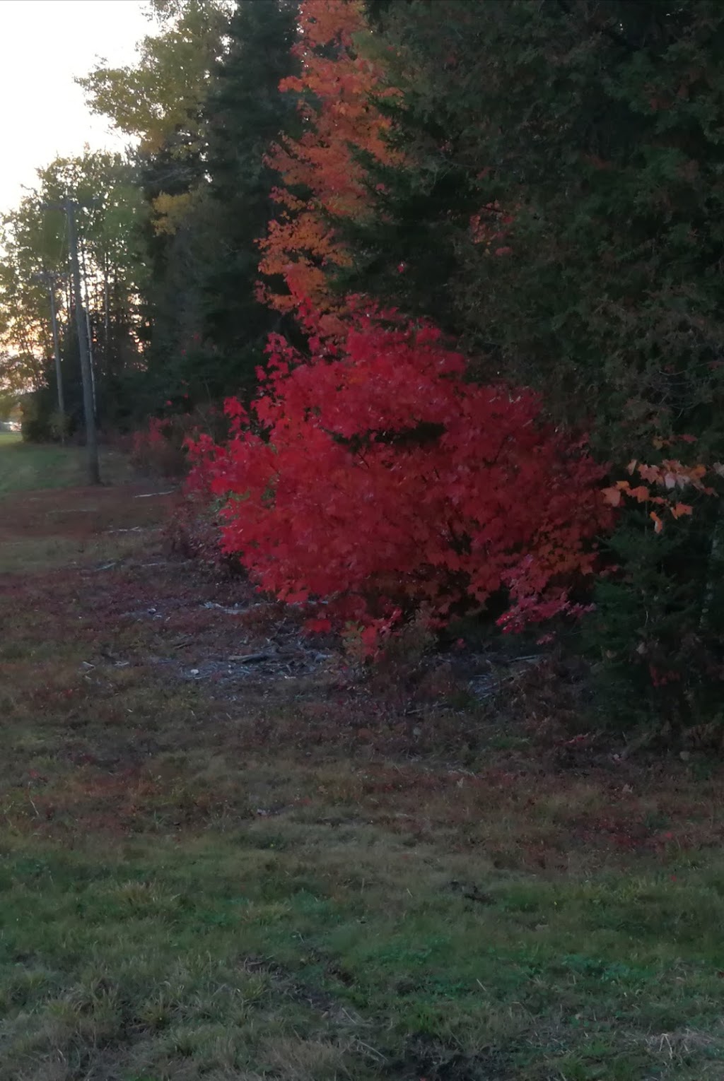 Riverside Seasonal Campground | Kingston, NB E5S 1X6, Canada | Phone: (506) 643-1979