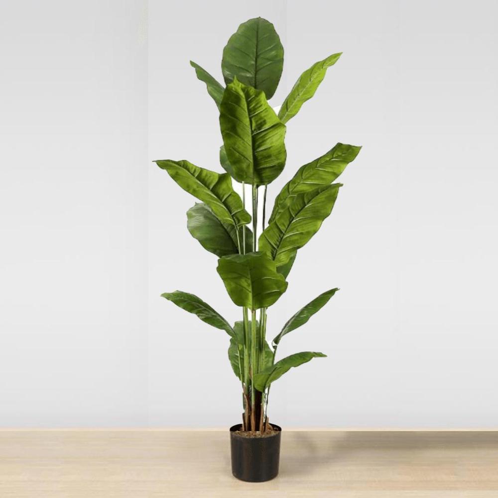 artiplanto decorations | 1670 QC-117, Val-David, QC J0T 2N0, Canada | Phone: (855) 722-1818