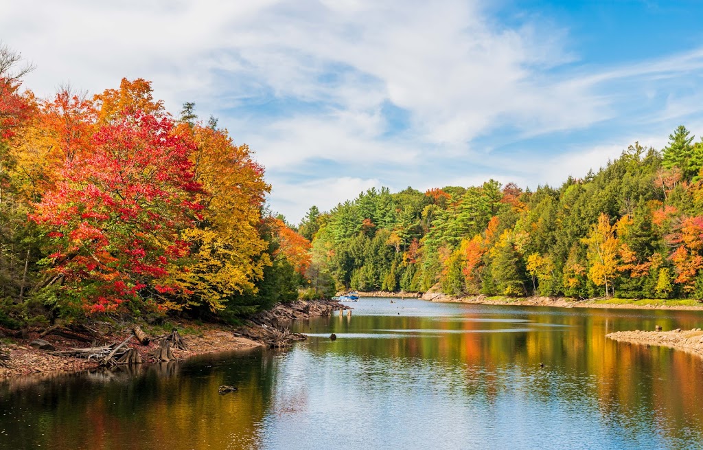 Hawk Lake Log Chute | 1584 Big Hawk Lake Rd, Algonquin Highlands, ON K0M 1J2, Canada | Phone: (705) 489-2379