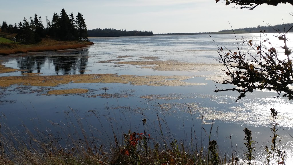 Sambea Farm | 79 Conrad Rd, Lawrencetown, NS B2Z 1S1, Canada | Phone: (902) 488-9607
