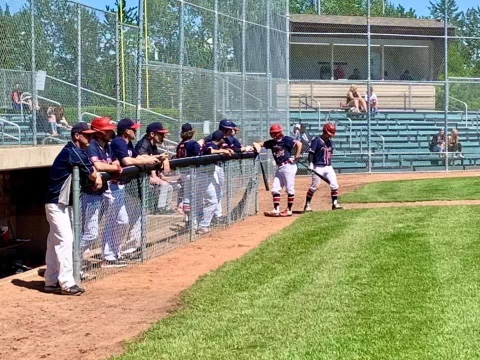 Red Deer Minor Baseball | 3310 55 Ave, Red Deer, AB T4N 4N1, Canada | Phone: (403) 346-5075