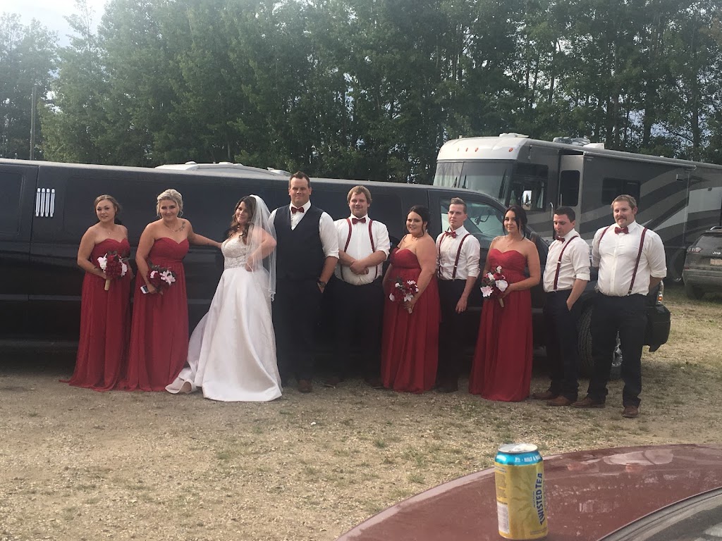 Stellas Limousine & Transport | 18 Jackson Close, Red Deer, AB T4P 3W5, Canada | Phone: (403) 307-0887