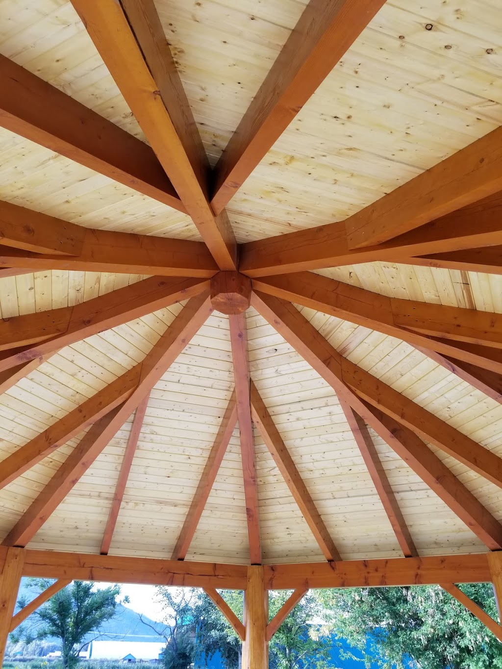 Alphalogandtimber | Tappen Mill Rd, Tappen, BC V0E 2X2, Canada | Phone: (250) 833-6557
