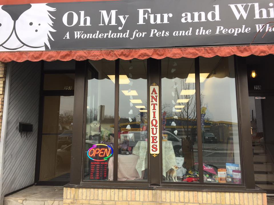 Oh My Fur and Whiskers! | 257 Talbot St, St Thomas, ON N5P 1B3, Canada | Phone: (519) 207-7387