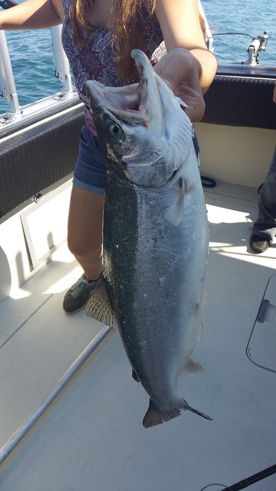 Square Tail Charters | 15 Front St S, Mississauga, ON L5H 2C4, Canada | Phone: (416) 616-4310